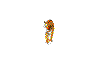 tiger_gif animation