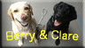 Berry &Clare